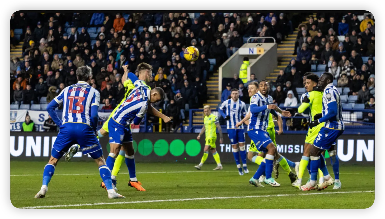 Championship Relegation Battle Heats Up as Owls Soar