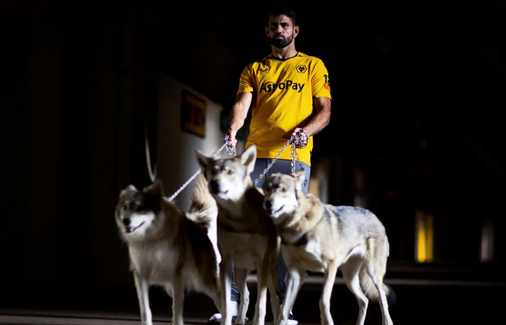 Why Wolves Needed a Veteran Striker